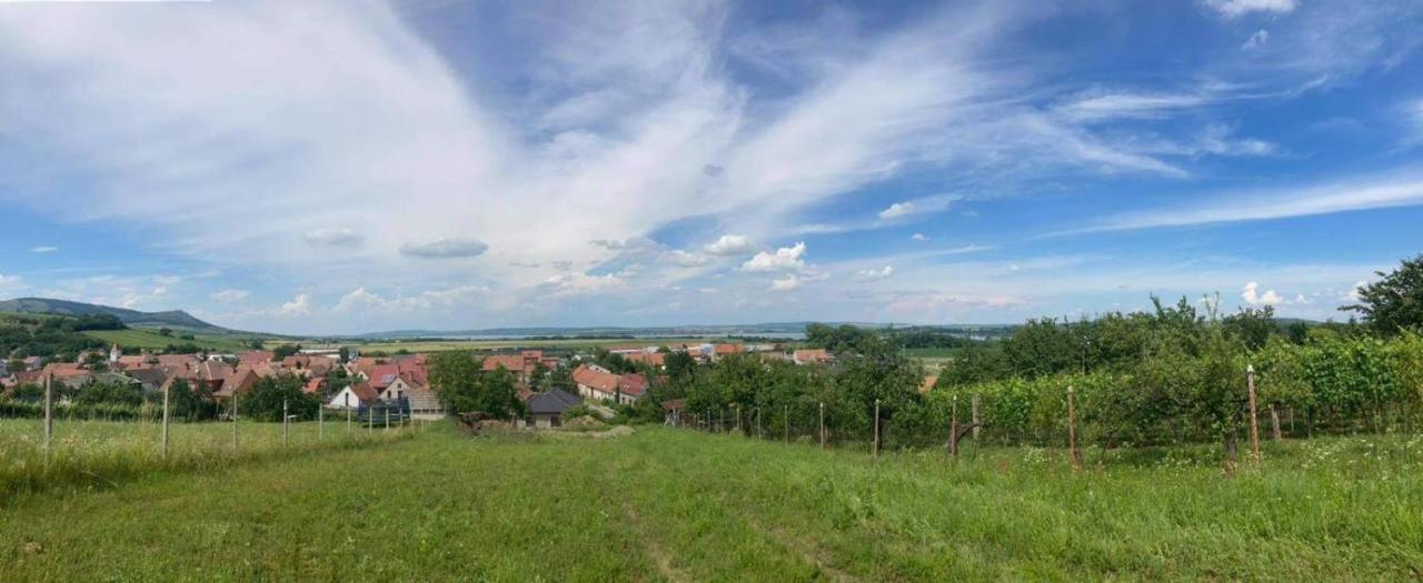 Prazdninovy Dum Na Palave S Vinnym Sklepem Milovice  Eksteriør bilde